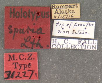 Media type: image;   Entomology 31227 Aspect: labels